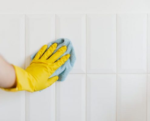 empleadores domésticos